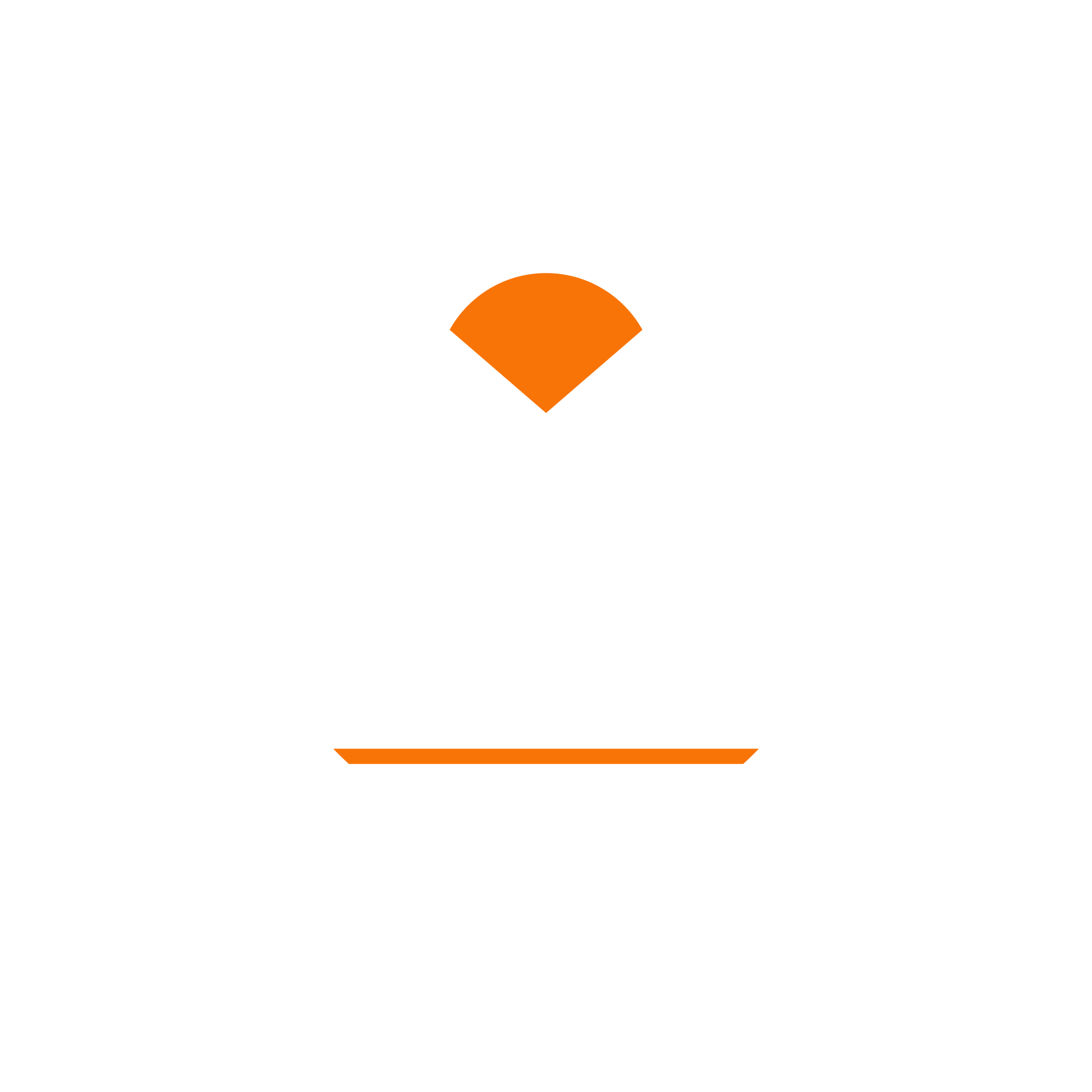 LOGO-ORANGE - PNG V 1.2 (Negative)